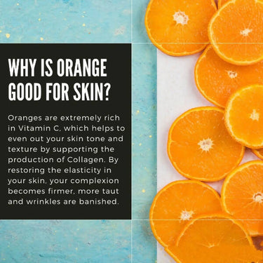 https://cdn.shopify.com/s/files/1/1857/6931/products/59b9oDznKi.jpg?v=1663673340